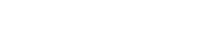 Bridge Fiber project